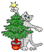 anluorsterkatppp.gif