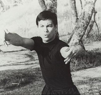 BruceLee8.jpg