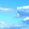 7.gif