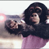 pistolar.gif