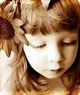 post_33_1220945366.jpg