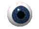 Eye_03_june.gif