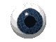 eye.gif