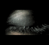 i12935860_63562_5.gif
