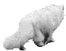 8e9624928b2a43c59e27d482fb6c64cd.gif