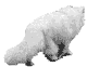4.gif