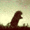 post_34_1229098242.gif