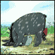 vii.gif