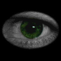 eyes1.gif