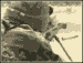 333333.gif