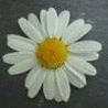 gdpit_com_96762789_535.gif