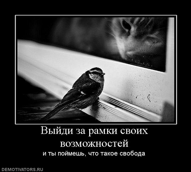 170968_vyijdi_za_ramki_svoih_vozmozhnostej.jpg