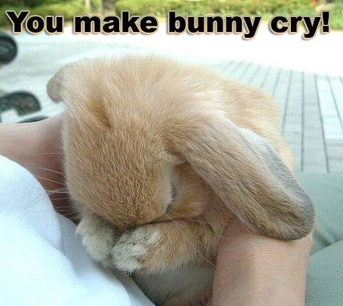 you_make_emotional_support_bunny_cry_b.jpg