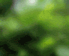010f4eb964634737674124c2f51e3187_1_.gif