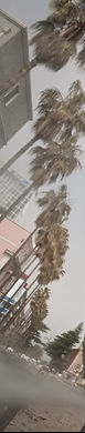 gallery_13795_6_1336900371.jpg