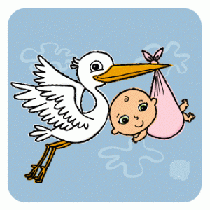18_baby_stork3_300x300.gif