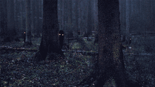K6Nlj.gif