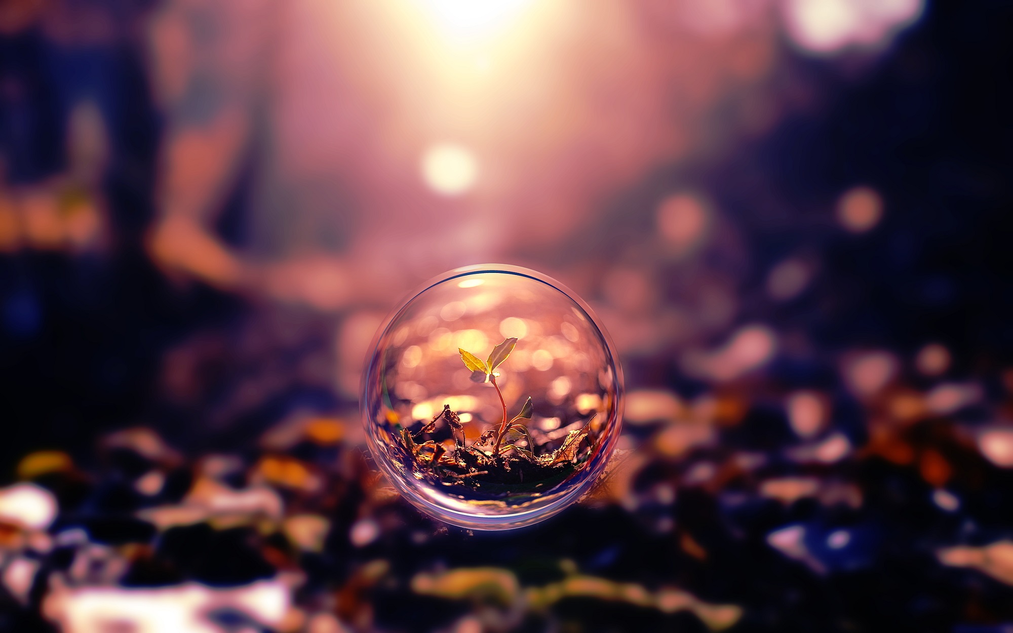 beautiful_pic_12.jpg