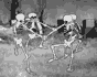 c830b04a4ac0.gif