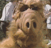 photo_183985.gif