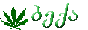 6b4a9711.gif