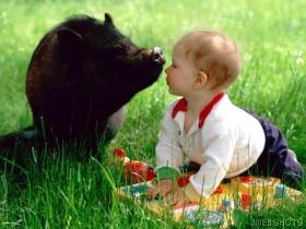 baby_20and_20pig_20copy2.jpg
