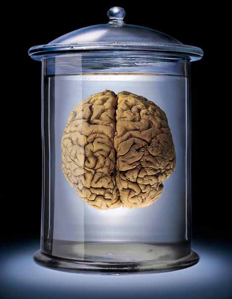 brain.jpg