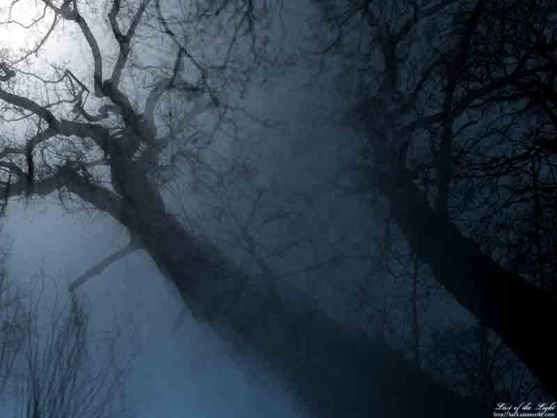 last_of_the_light_800_copy.jpg