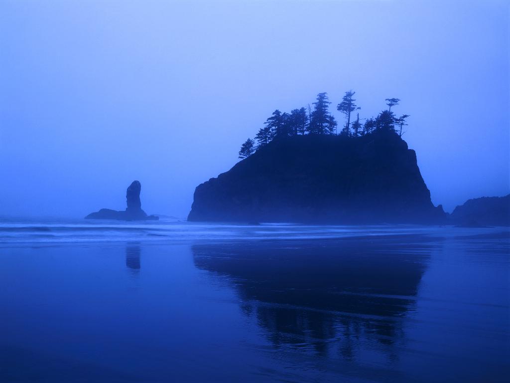 NLA0081E_1024x768.jpg