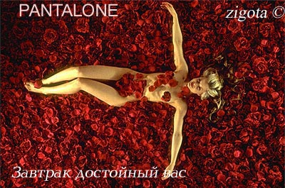 Pantalone.jpg