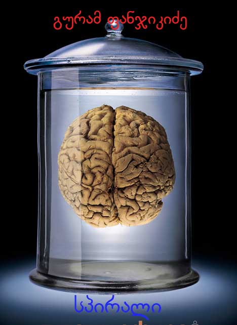 brain_1024x768.jpg