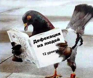 Mtredi.jpg