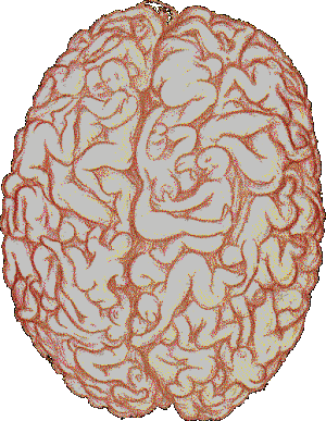 brain_plug.gif