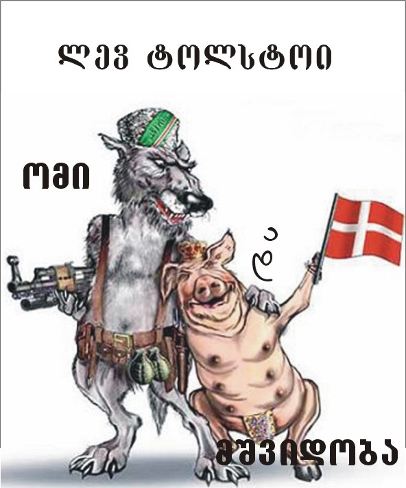 omi_mshv.jpg