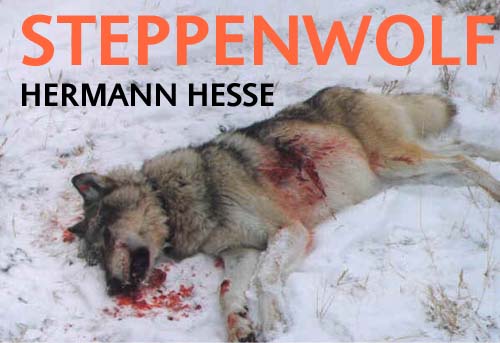 wolfshot_copy.jpg