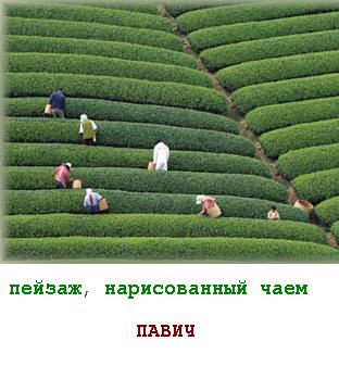 CHAI.JPG