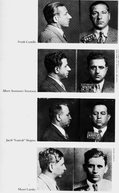 maier4.jpg