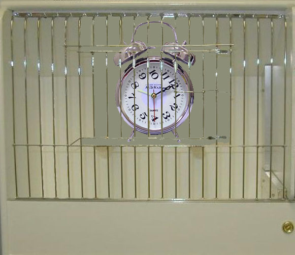 Time_In_Cage.jpg