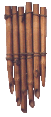 soinari.gif