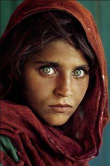 SharbatGula1984.jpg