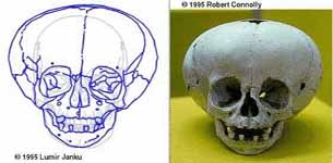 scull.jpg
