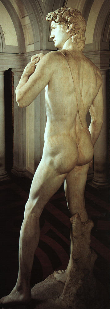 david_r1.jpg