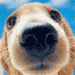 av_40.gif