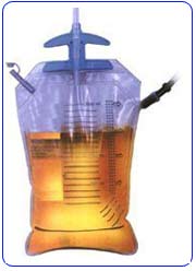 urine.jpg