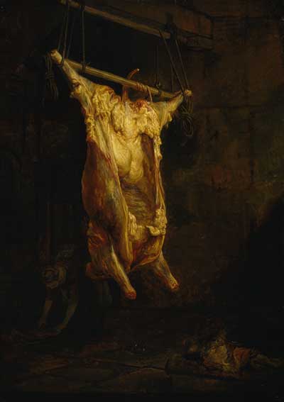 rembrandt_ox_lg.jpg