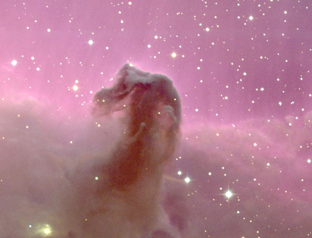 horsehead_noao_1_.jpg