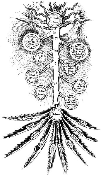 arbor_inversa.jpg