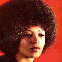 Angela_davis_afro.jpg