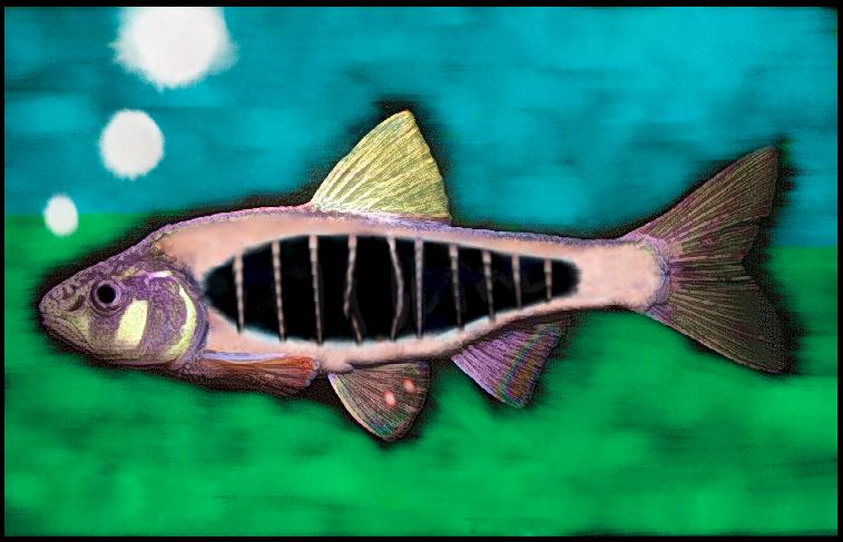 fishbone3.JPG