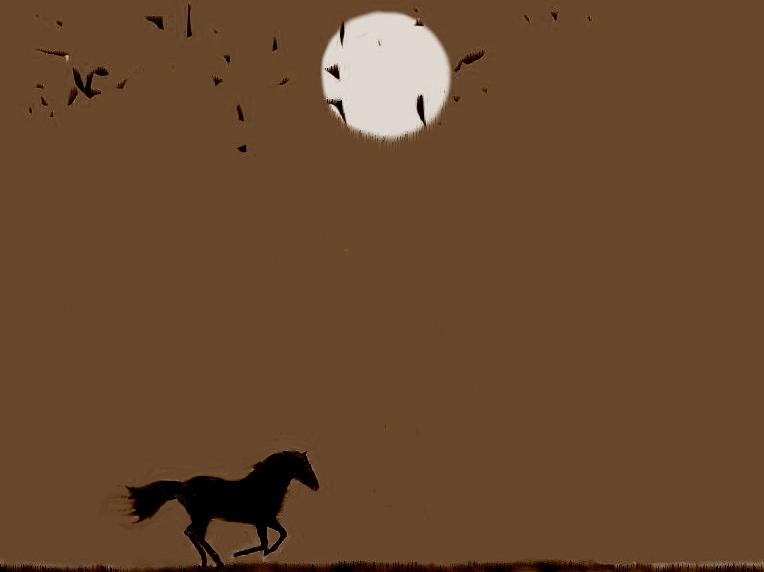krock_HORSE_Night.JPG